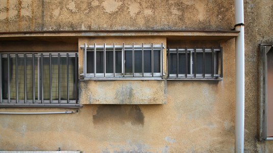 カビ・藻の発生